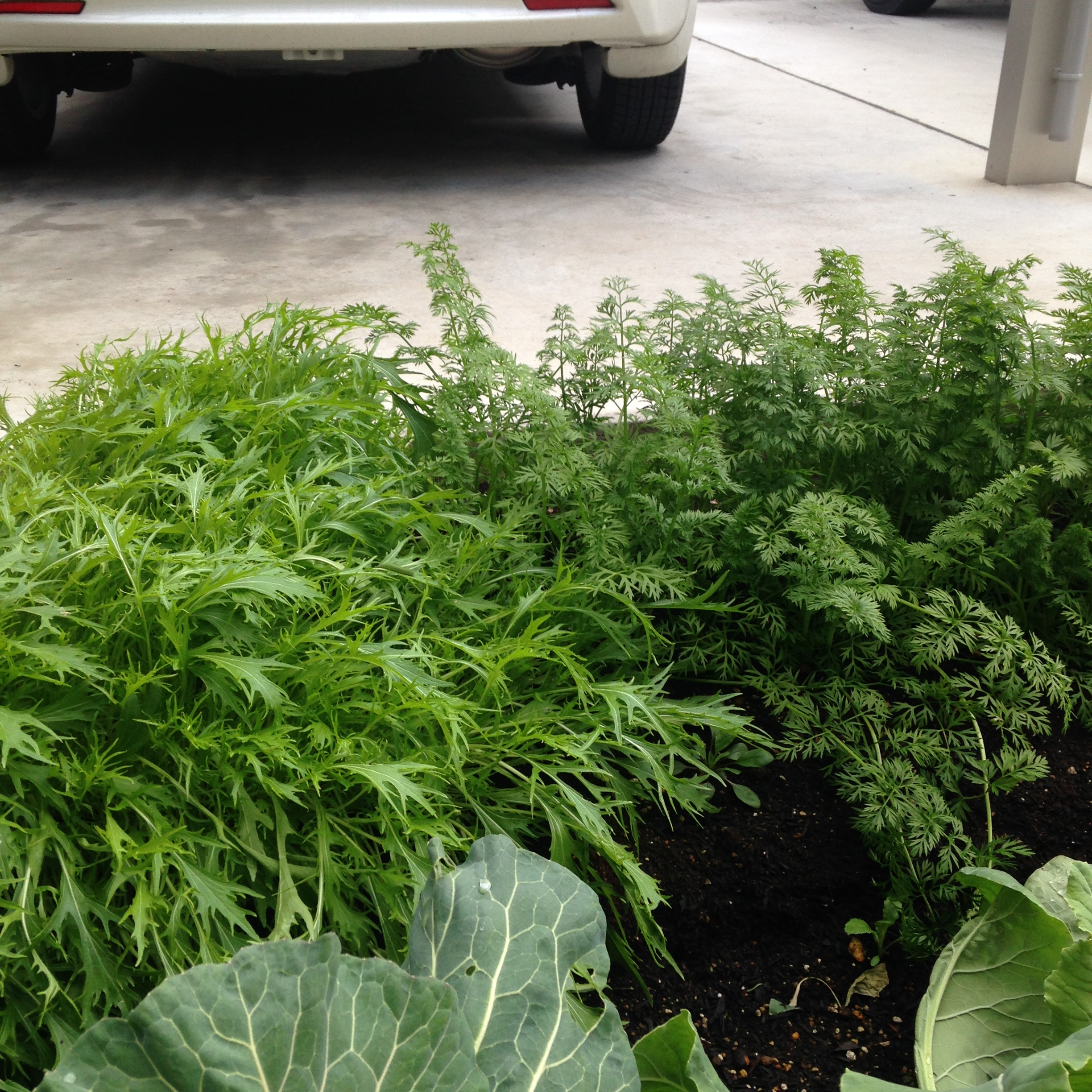 小山市　I様邸　１年点検