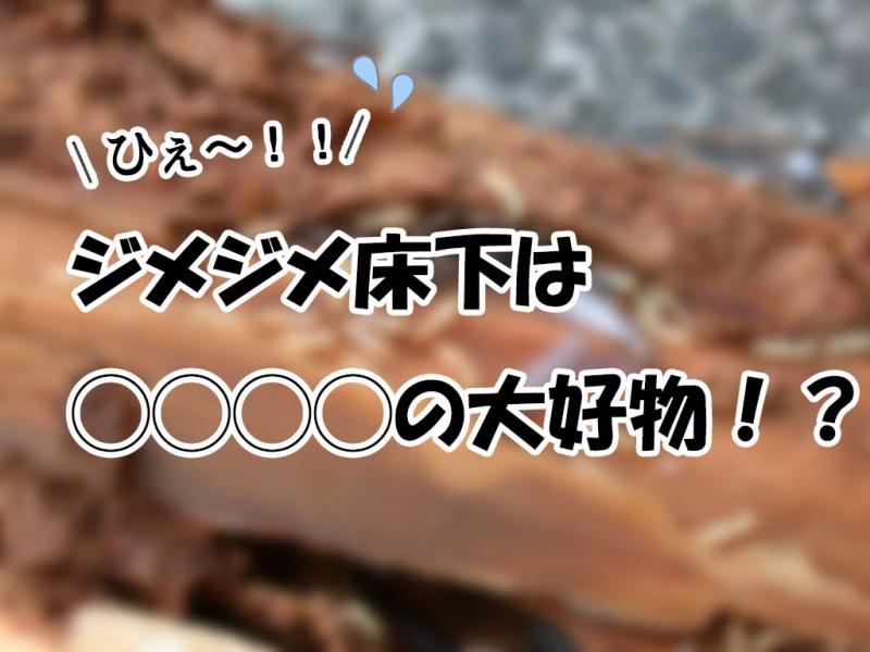 〈建築知識〉ジメジメ床下は◯◯◯◯の大好物!?