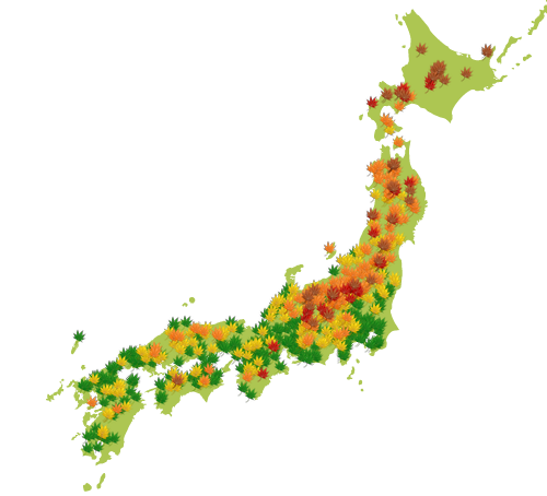 <趣味>紅葉
