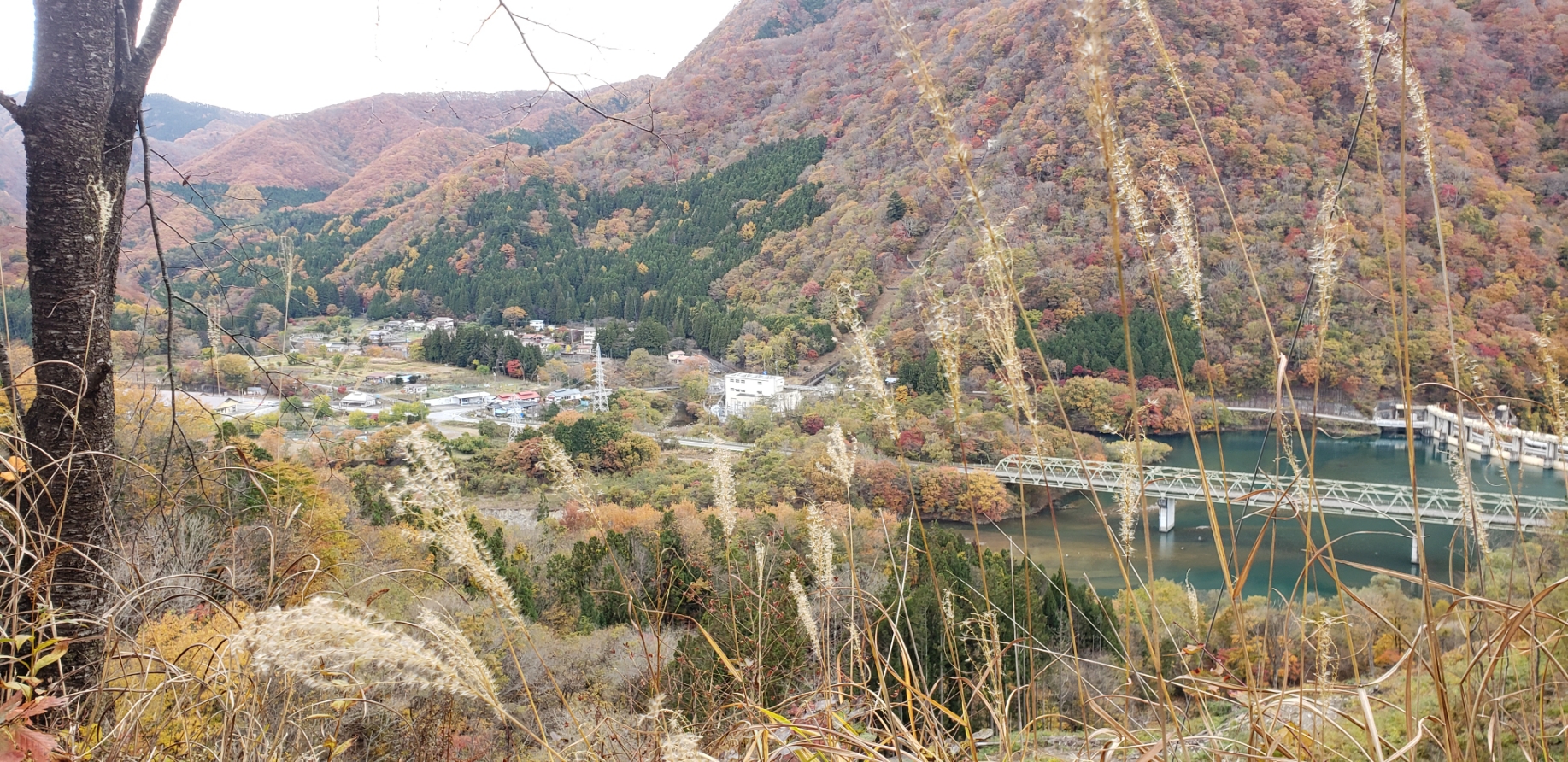 暮らしの知識 落ち葉掃きの道具 栃木建築社 宇都宮市 鹿沼市で新築デザイン注文住宅を建てる方へ