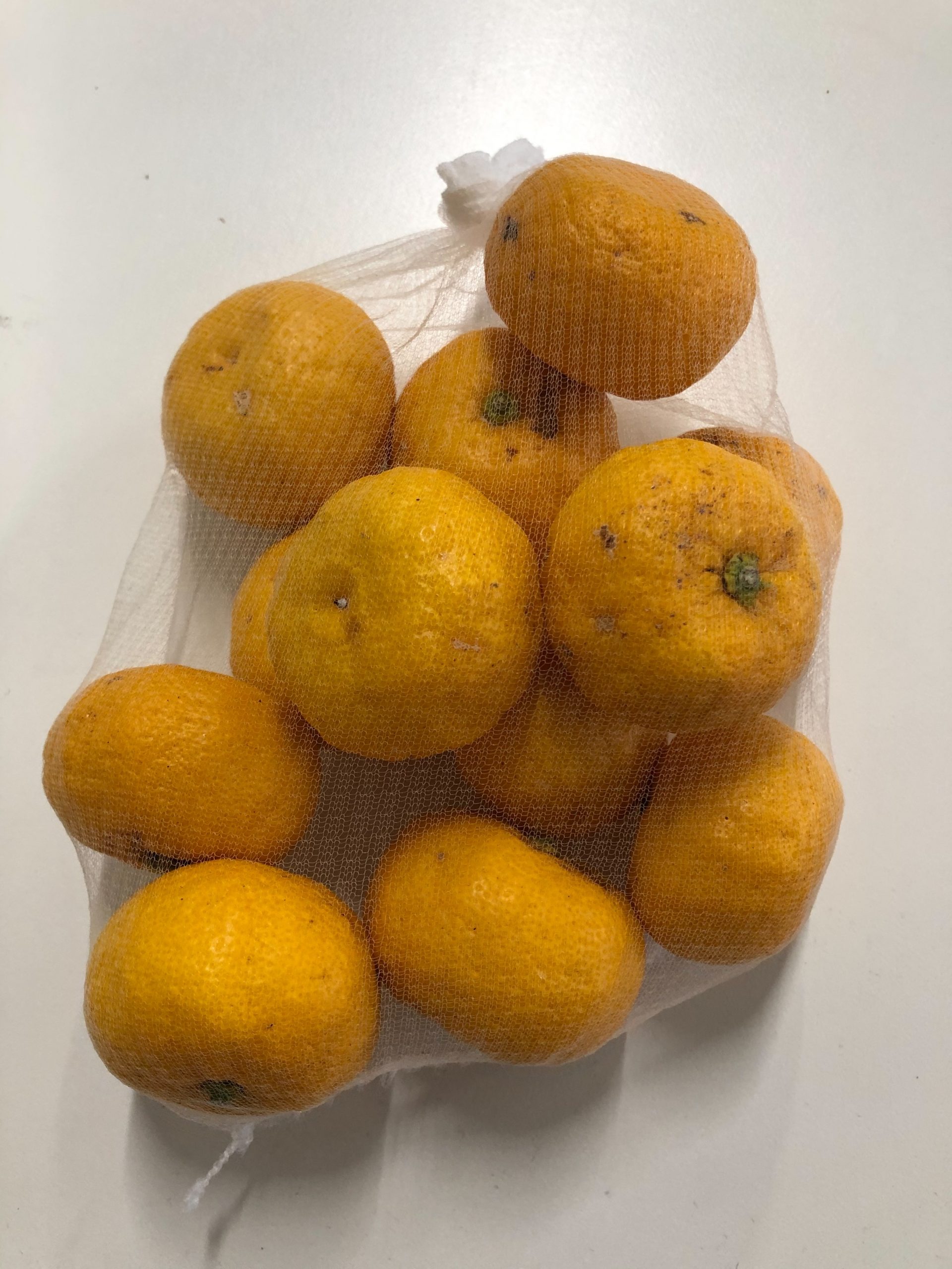 <趣味>ゆず湯の季節です