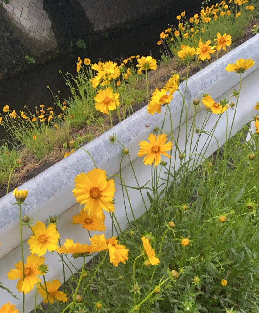 〈イベント〉気晴らし!