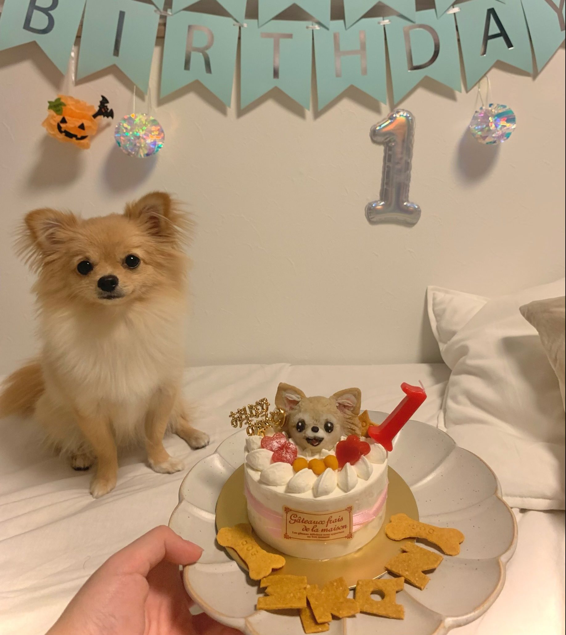 初めての誕生日