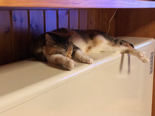 〈冬の必需品〉 蓄熱式暖房機
