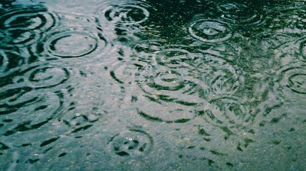 〈暮らしの知識〉とうとう、梅雨入り