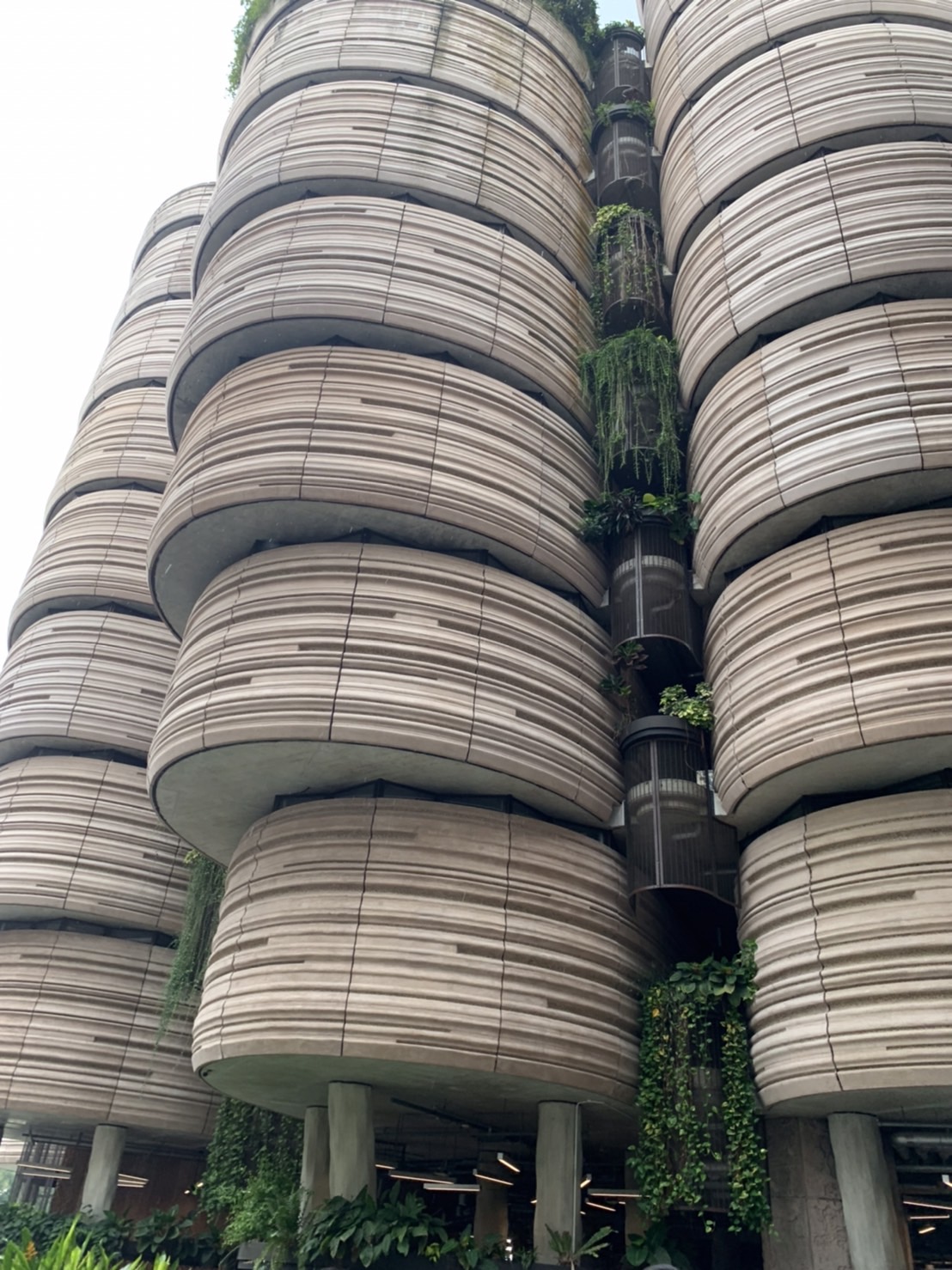 〈建築知識〉暑さをしのぐ建築物