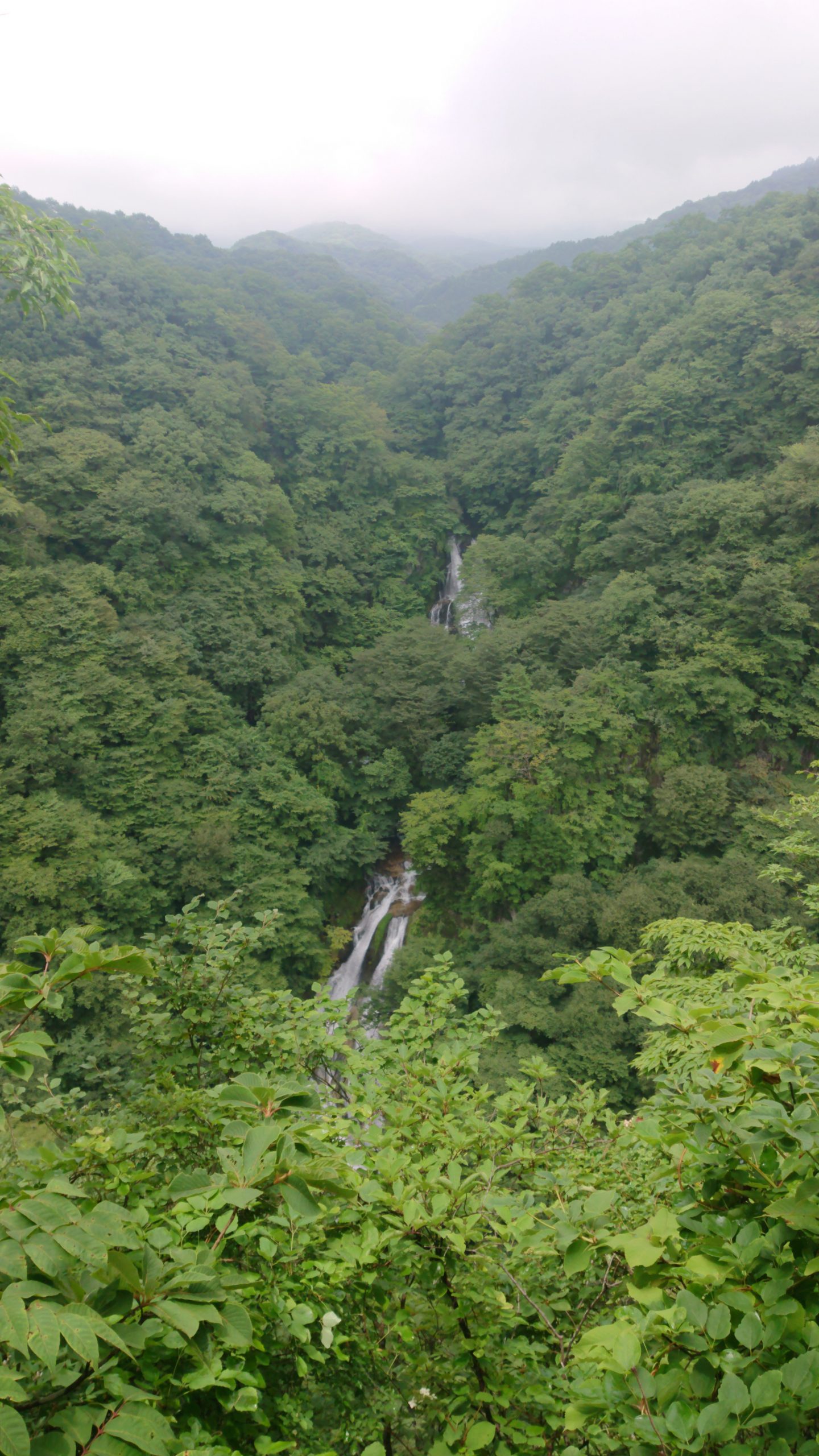 〈暮らしの知識〉滝効果