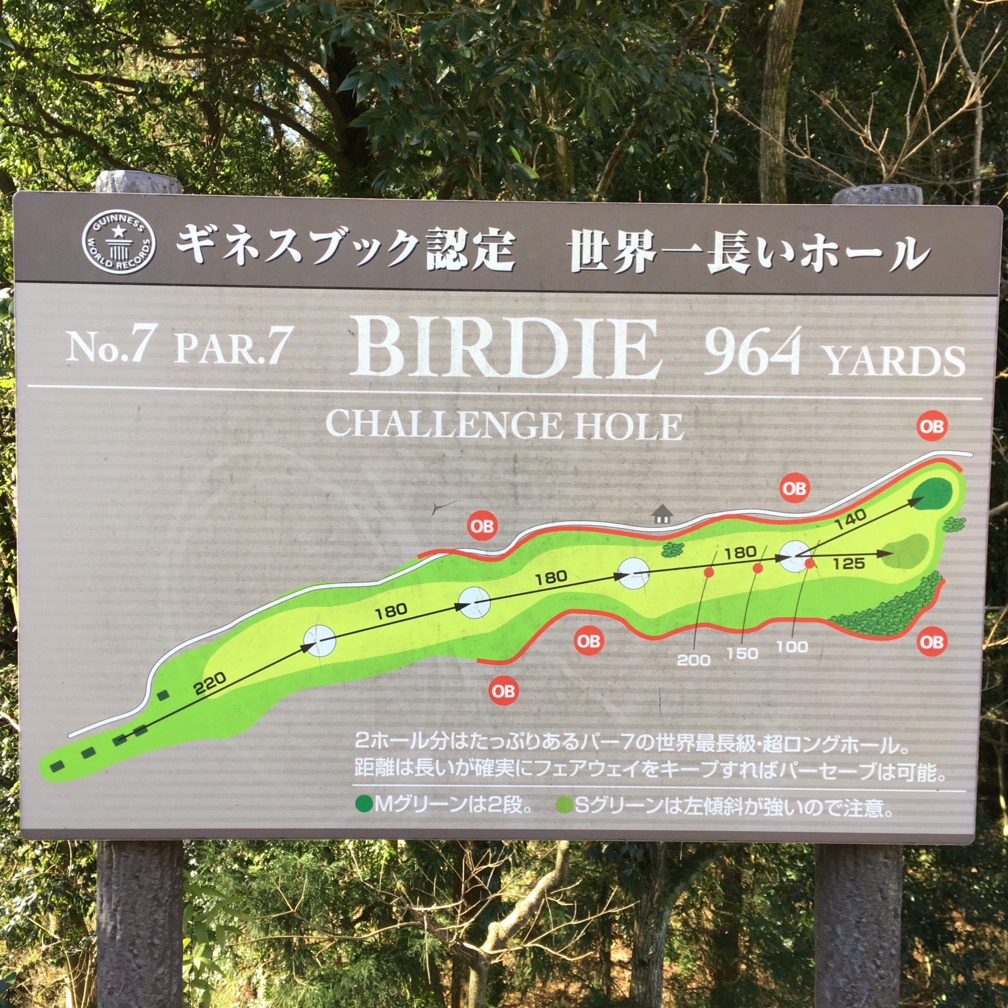 今年初めてのゴルフ⛳