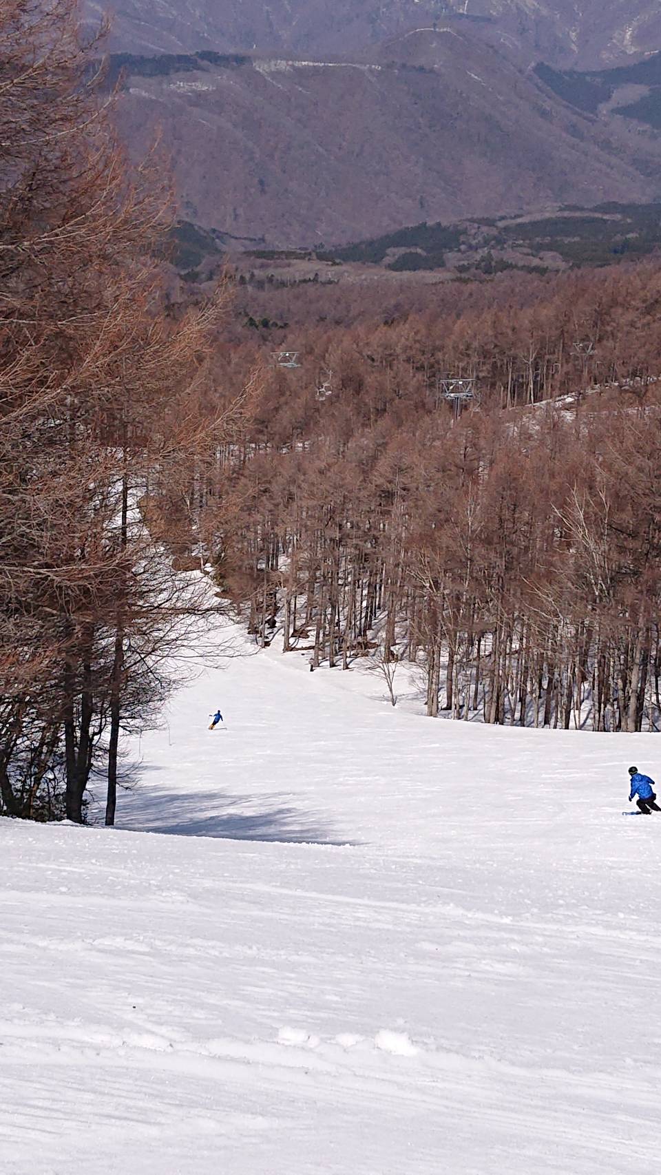 20年ぶりの『スキー』