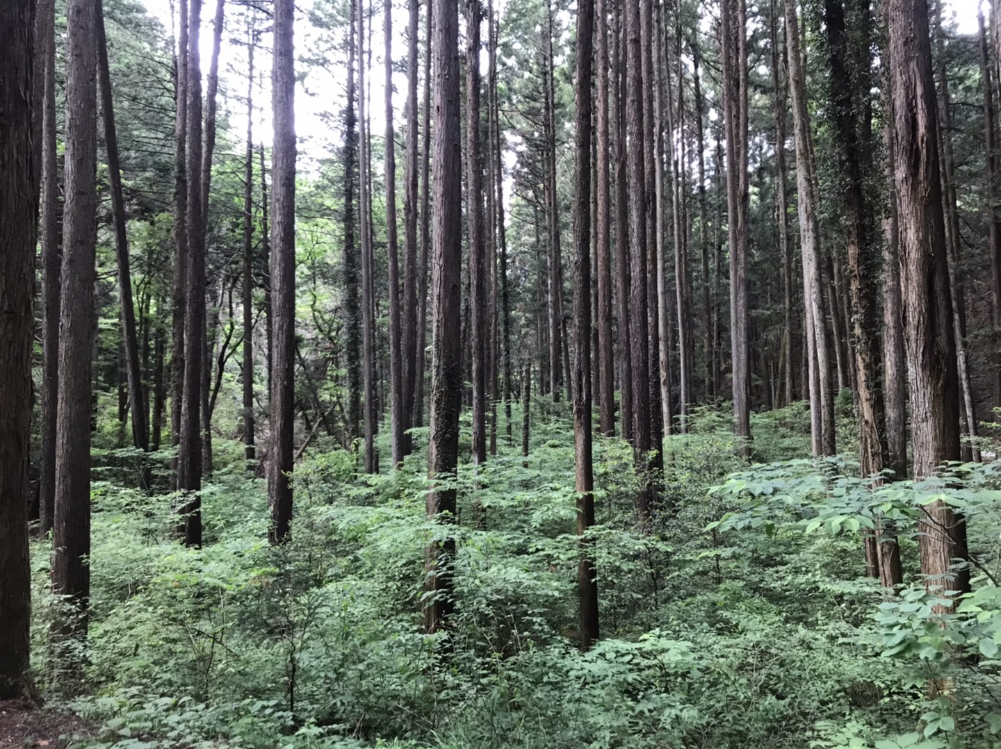 《暮らしの知識》旬な体験！？