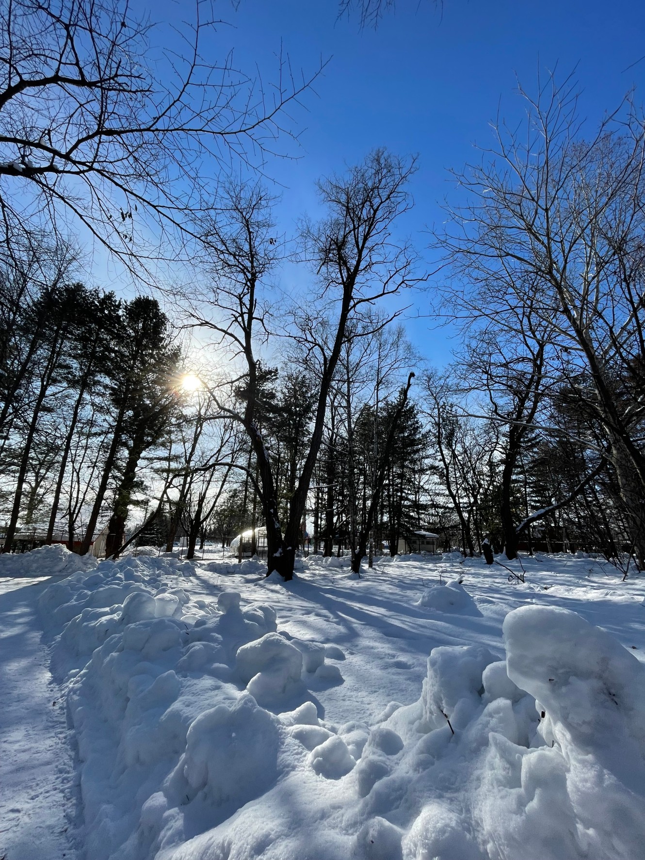 【北海道探訪記】雪