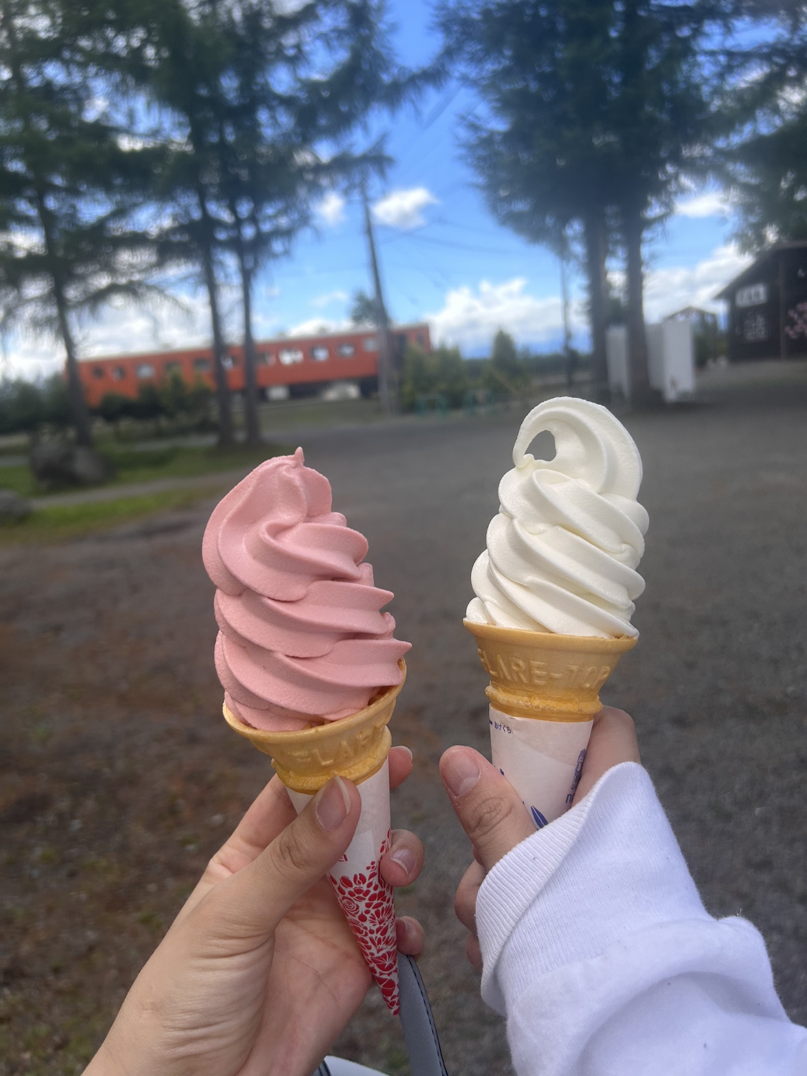 北海道のアイスクリームを制覇したい