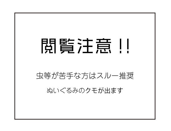 【クモぬい画像につき閲覧注意】不気味な生き物が好きです(笑)