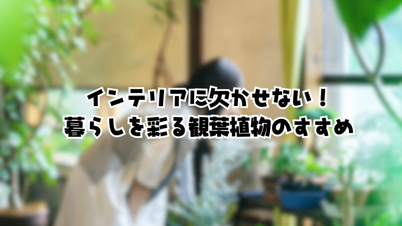 インテリアに欠かせない！暮らしを彩る観葉植物のすすめ