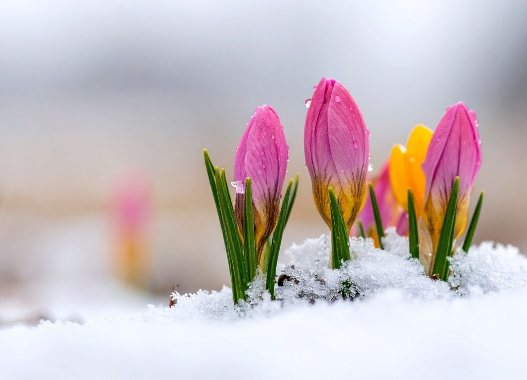 雪が溶けて川になって流れて行きます～♪